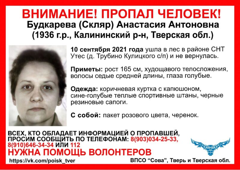 В Тверской области женщина ушла в лес и не вернулась