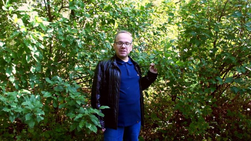 Поэт из Нелидово прочитал свои стихи об осени Поэт из Нелидово прочитал свои стихи об осени