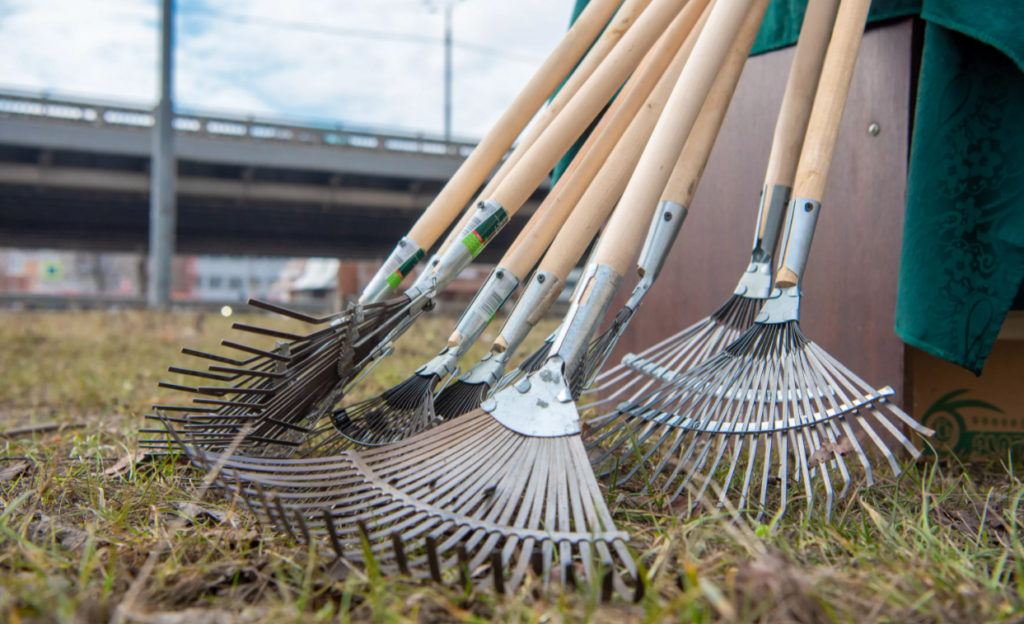 Тверь примет участие во Всемирном Дне чистоты Тверь примет участие во Всемирном Дне чистоты