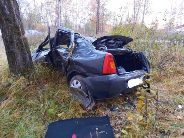 В Тверской области мужчина не справился с управлением автомобиля и сломал позвоночник