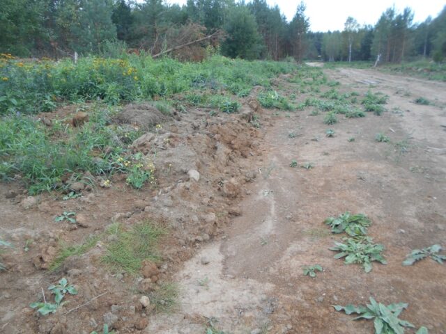 В Калининском районе выявлены нарушения земельного законодательства на 22 земельных участках