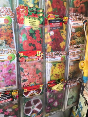 Специалисты проверили качество семян в городе Кимры Специалисты проверили качество семян в городе Кимры