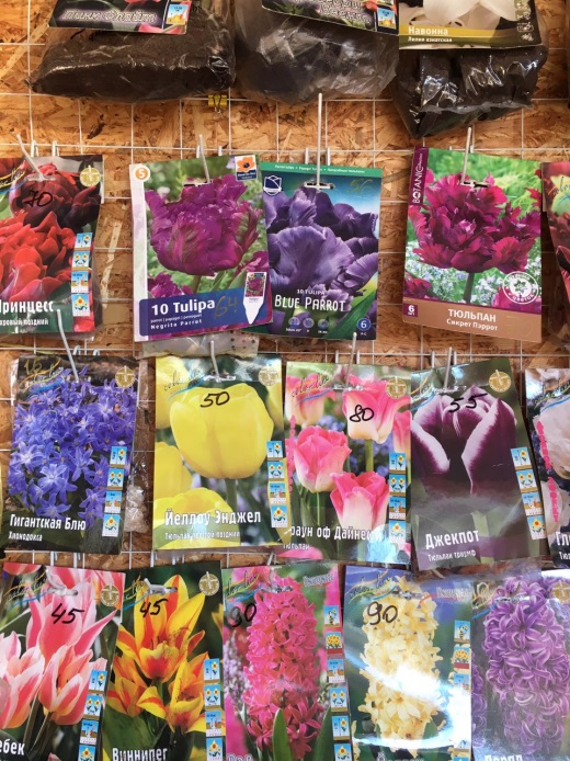 Специалисты проверили качество семян в городе Кимры