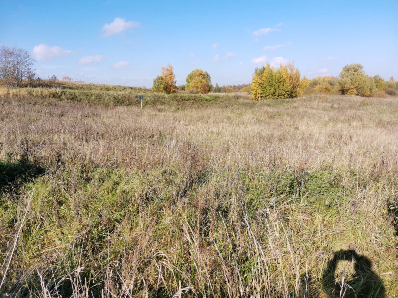 В Удомельском районе обнаружили нарушения земельного законодательства