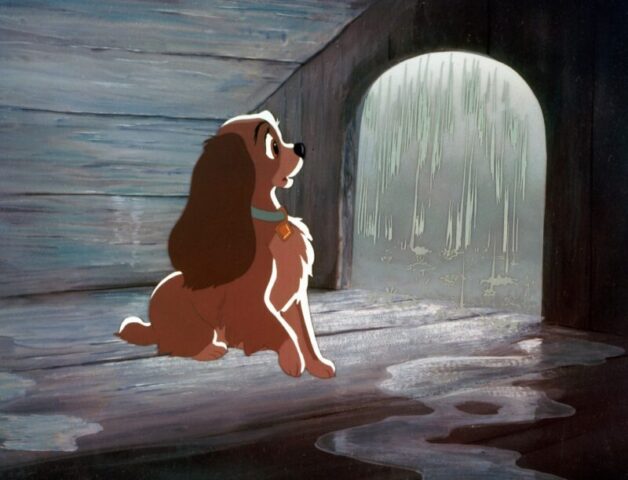 Дожди пройдут завтра над Тверской областью