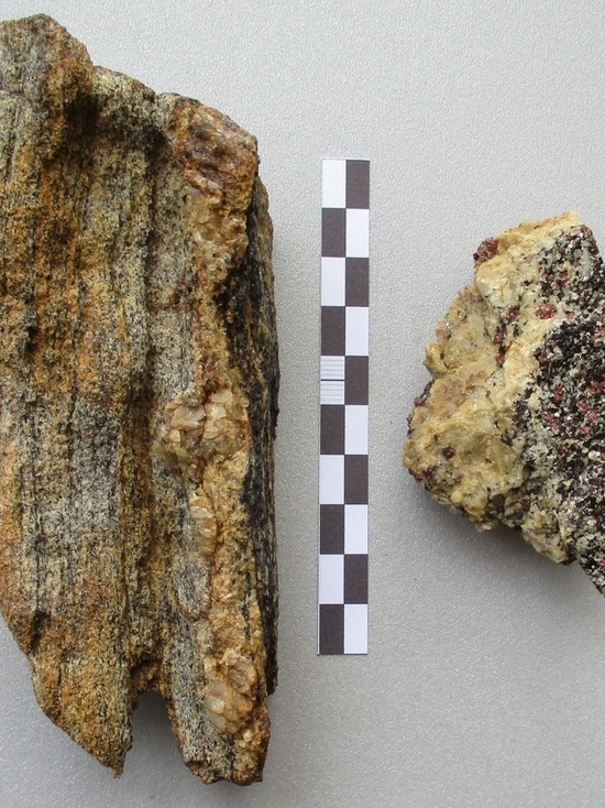 Экспонаты из Антарктиды пополнили фонд музея в Тверской области