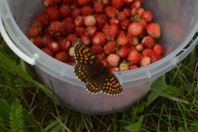 В Твери стартовал второй тур всероссийского медиафестиваля