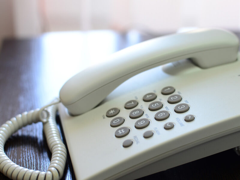 Россельхознадзор организует «горячую линию» по вопросам фитосанитарного контроля и надзора за качеством зерна