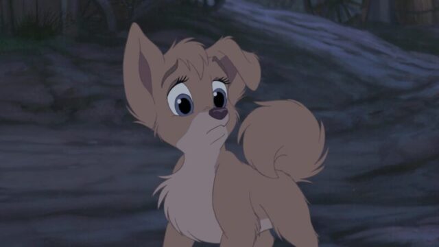 В пятницу жителей Тверской области ожидает дождливая погода В пятницу жителей Тверской области ожидает дождливая погода