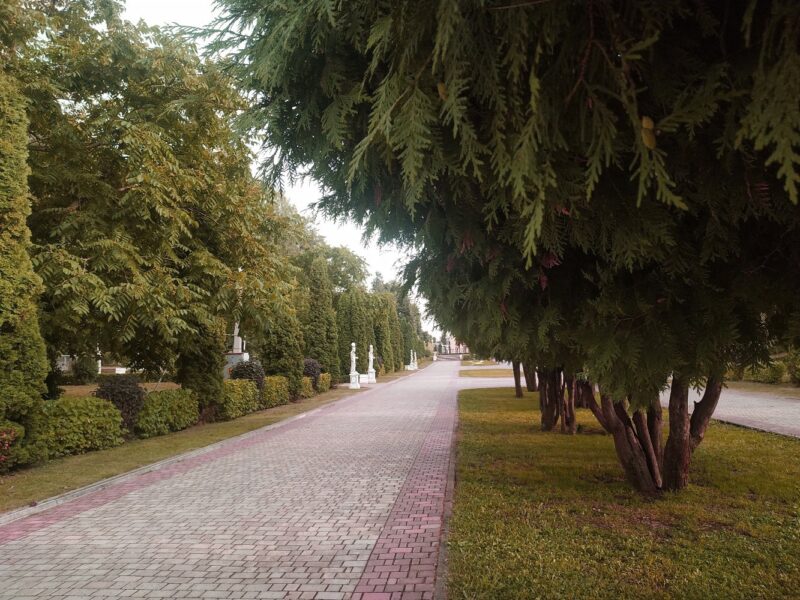 Тверской Городской сад отметил свой 90-летний юбилей