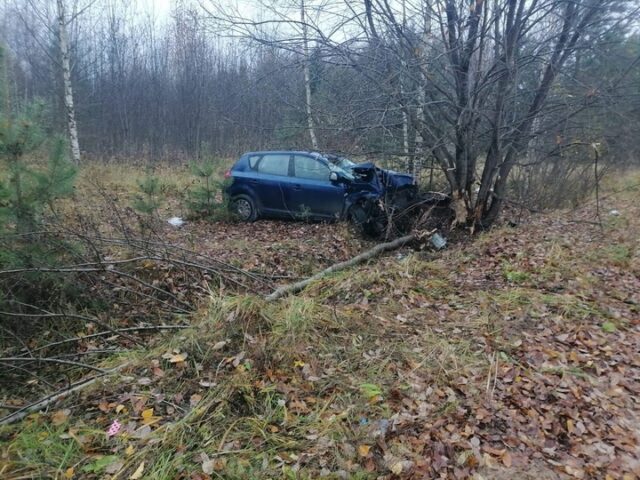 В Тверской области пьяный водитель не справился с управлением и улетел в кювет