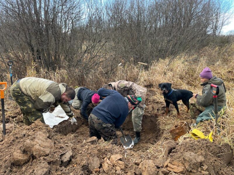 Поисковики снова нашли под Ржевом останки солдат Поисковики снова нашли под Ржевом останки солдат