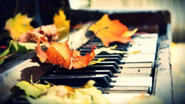 Жителей Твери приглашают на концертную программу "Золотая осень"