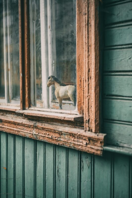 Тверской фотограф поделилась осенним взглядом на улицы города Тверской фотограф поделилась осенним взглядом на улицы города