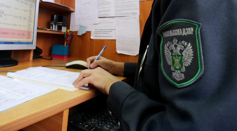 Известны итоги досмотра импортных и экспортных грузов с растительной продукцией за прошедшую неделю Известны итоги досмотра импортных и экспортных грузов с растительной продукцией за прошедшую неделю