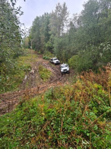 В Торопецком районе Тверьэнерго повышает надежность электросетевой инфраструктуры В Торопецком районе Тверьэнерго повышает надежность электросетевой инфраструктуры