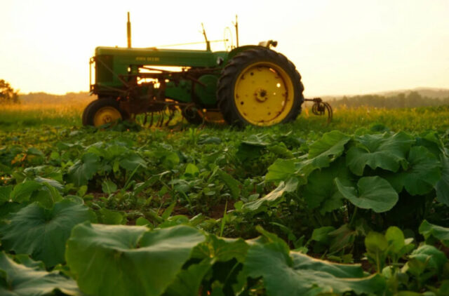 Глава региона поздравил работников сельского хозяйства с профессиональным праздником