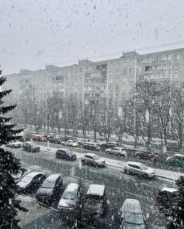 Кружится, летает, летает: жители Твери делятся фотографиями первого снега