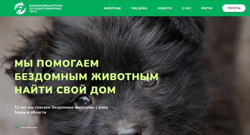 У тверской инициативной группы по защите животных появился сайт У тверской инициативной группы по защите животных появился сайт