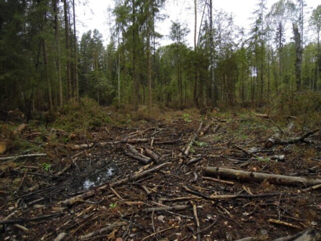 За неисполнение земельного законодательства Тверской области оштрафовано юридическое лицо За неисполнение земельного законодательства Тверской области оштрафовано юридическое лицо