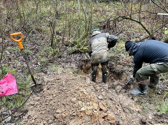В Тверской области нашли останки солдата, который навсегда останется неизвестным