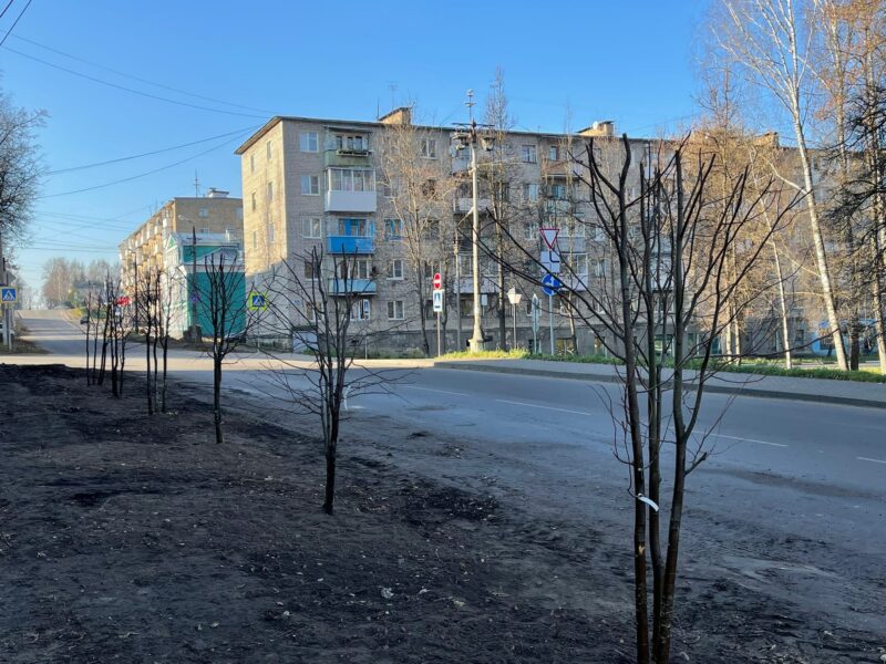 Глава Ржева рассказал, как в городе идут работы по благоустройству Глава Ржева рассказал, как в городе идут работы по благоустройству