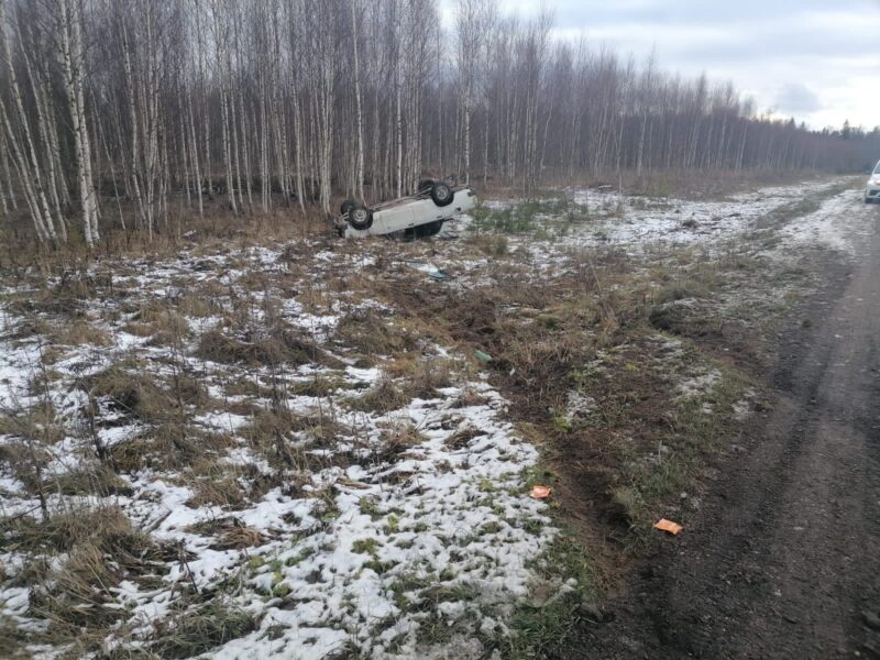В Тверской области ВАЗ улетел в кювет и опрокинулся