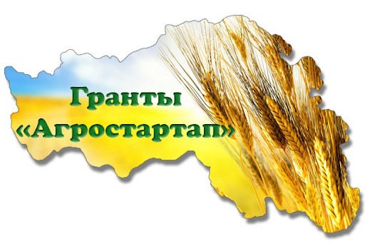12 тверских фермеров в 2021 году получат гранты "Агростартап"
