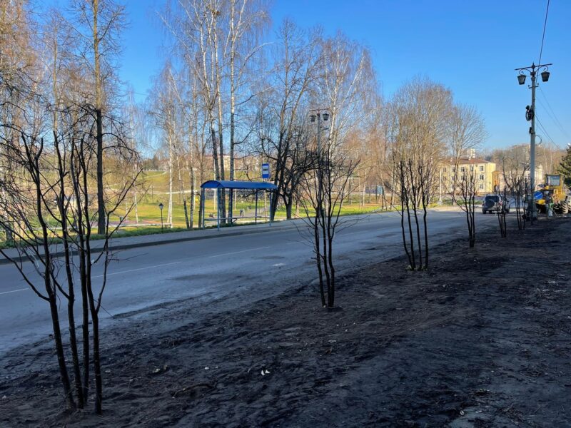 Глава Ржева рассказал, как в городе идут работы по благоустройству Глава Ржева рассказал, как в городе идут работы по благоустройству