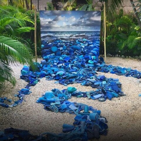 Тверской музейно-выставочный центр приглашает на лекцию по экологии Тверской музейно-выставочный центр приглашает на лекцию по экологии