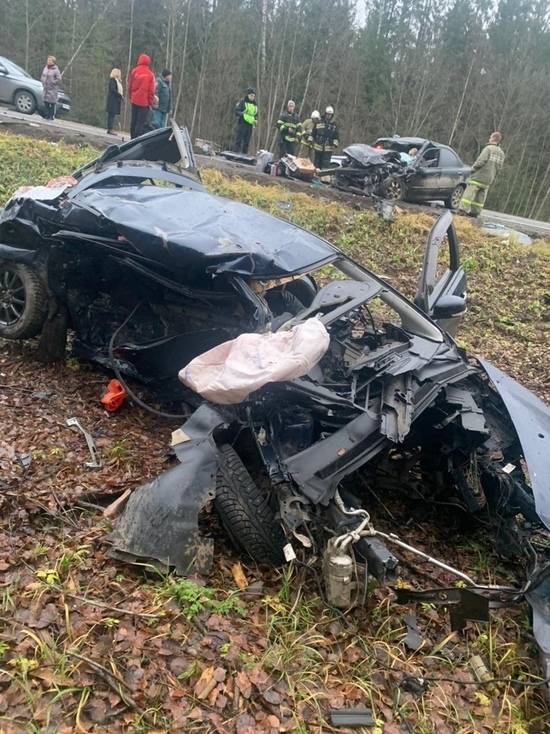 В Тверской области в аварии погибли три человека В Тверской области в аварии погибли три человека