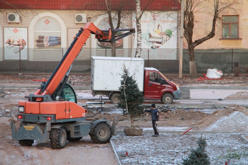 На главной площади в Нелидово посадят хвойные деревья