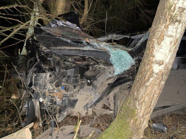 В Тверской области произошло серьезное ДТП с участием лося