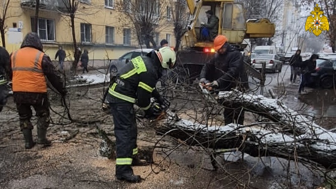 В Твери спасатели убрали поваленное дерево В Твери спасатели убрали поваленное дерево