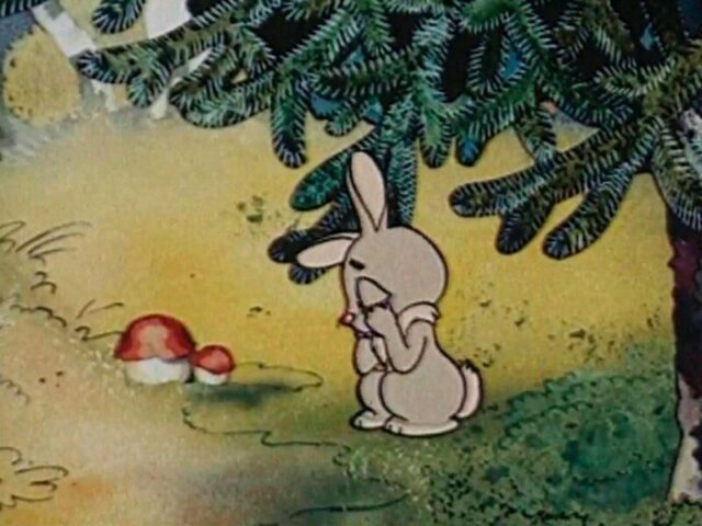 В Тверской области в среду будет прохладно и ветрено