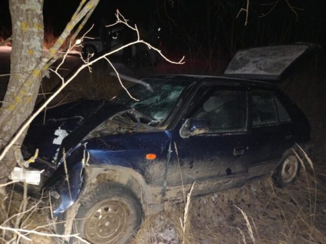 В Тверской области иномарка съехала с дороги и врезалась в дерево