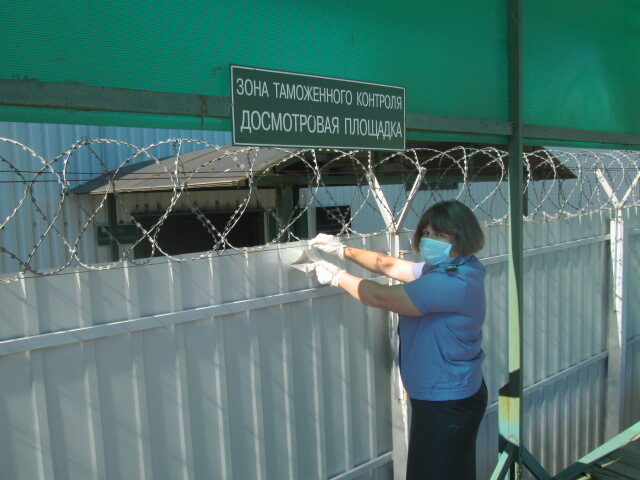 Россельхознадзор проверил карантинные объекты на наличие вредителей