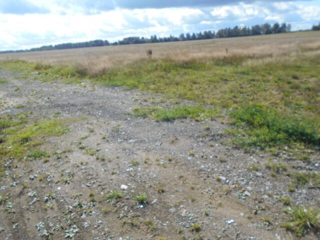 В Конаковском районе расчистили пастбище после фестиваля