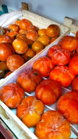 В одном из районов Твери неправильно продавали овощи и фрукты