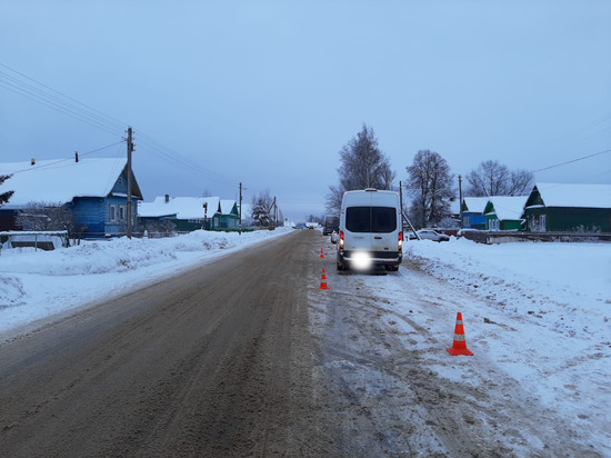 В Тверской области 11-летняя девочка попала под колеса микроавтобуса В Тверской области 11-летняя девочка попала под колеса микроавтобуса