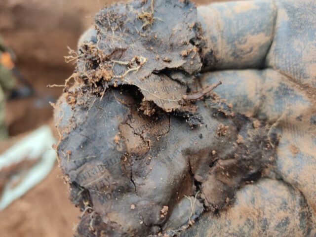 Поисковики подвели итоги ноябрьской экспедиции в Тверской области