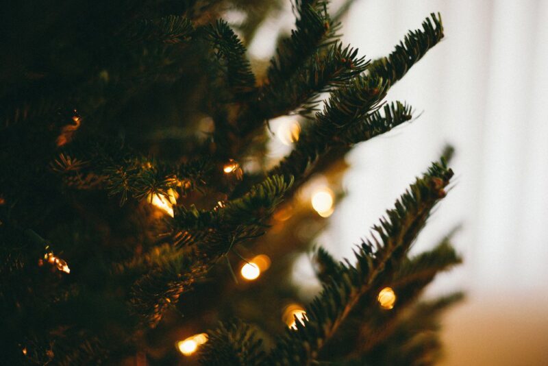 В Оленино установили новогоднюю ель