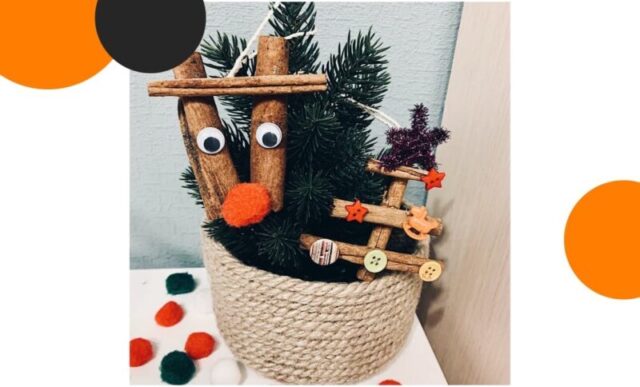 Тверское котокафе приглашает смастерить елочную игрушку к Новому году