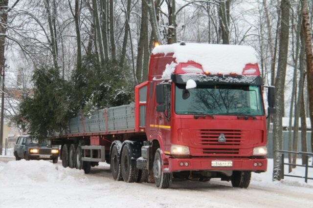 В Нелидове установили главную елку города