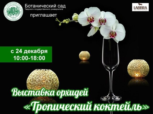 Тверской ботанический сад приглашает полюбоваться орхидеями