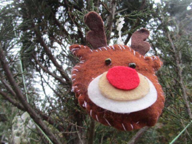 Тверской ботанический сад приглашает на семейный праздник