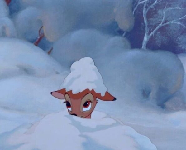 В Тверской области будет облачно и снежно