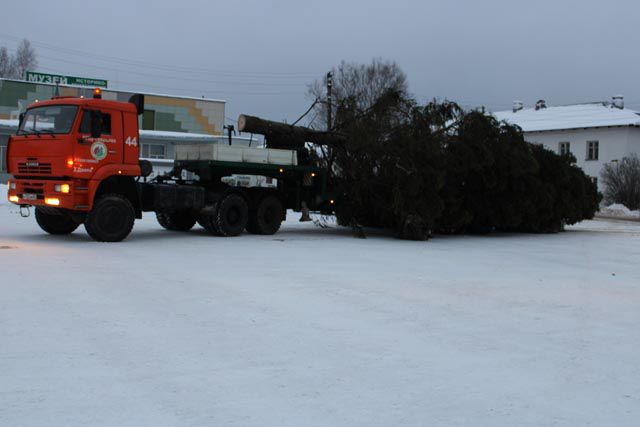 На центральной площади Западной Двины установили новогоднюю ель На центральной площади Западной Двины установили новогоднюю ель