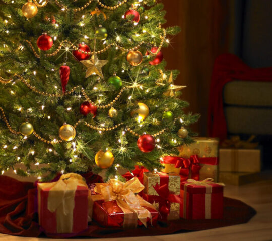 Юных жителей Тверской области приглашают на программу «Новогодние сюрпризы»