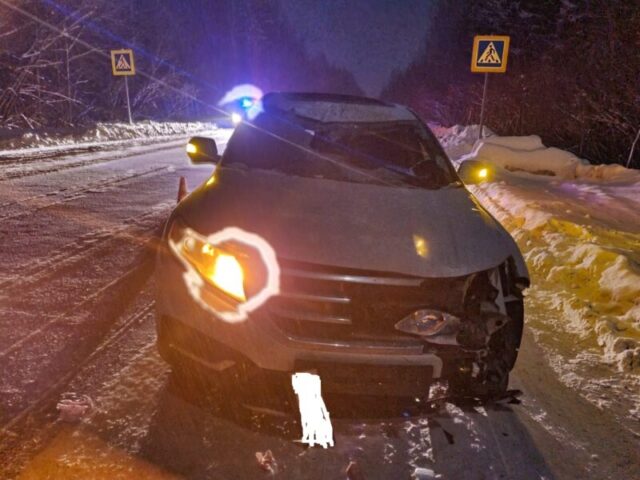 В Тверской области водитель сбил лося